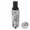 GAV Filter & Reducer In Line 1' Regulator